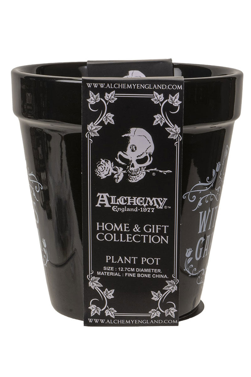spooky indoor planter