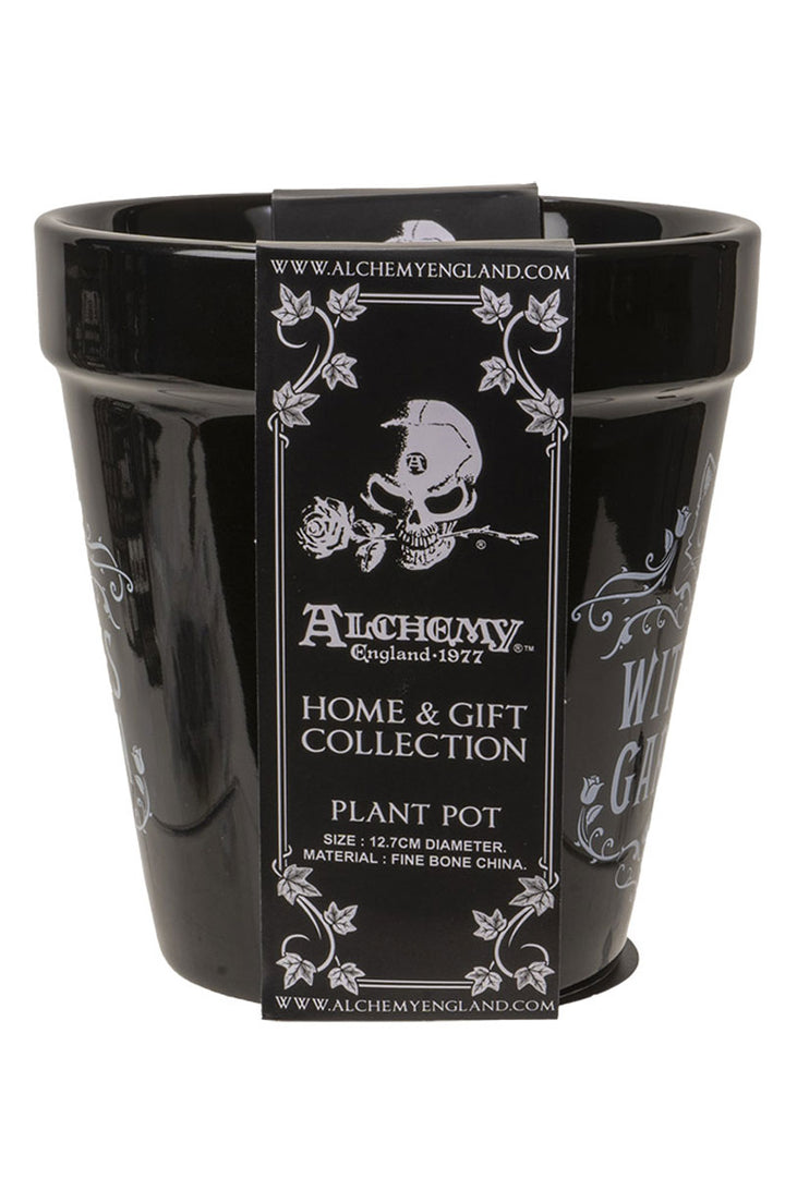 spooky indoor planter