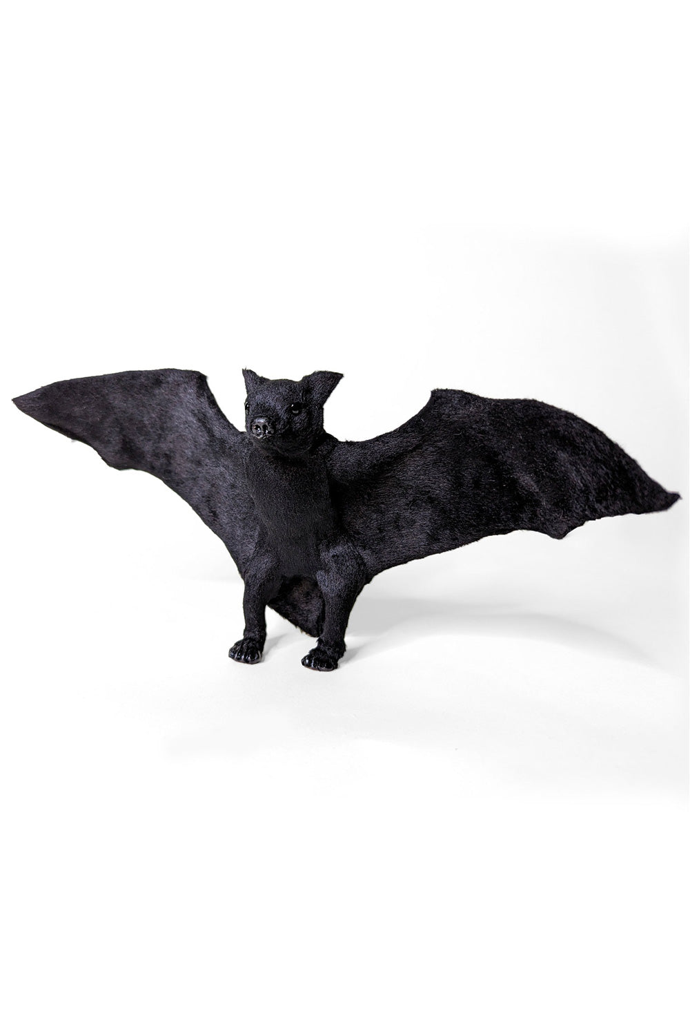 cute bat plushie
