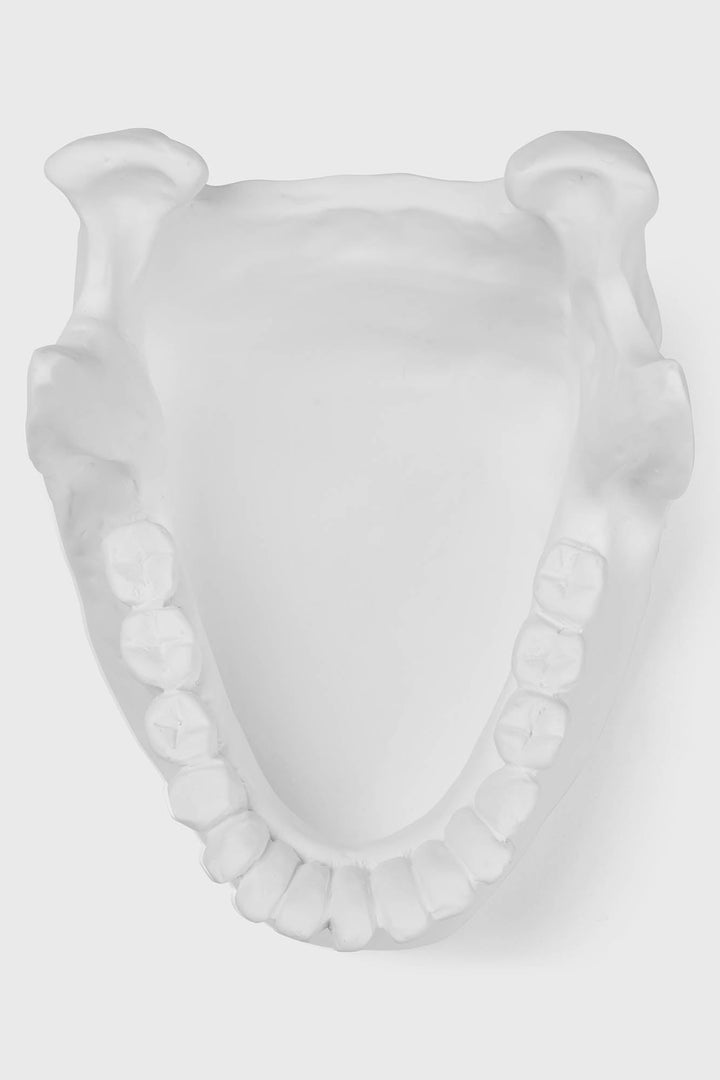 Ossuary Catch All Bowl