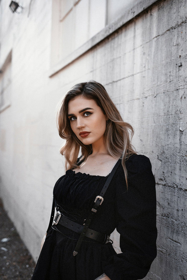 leather harness