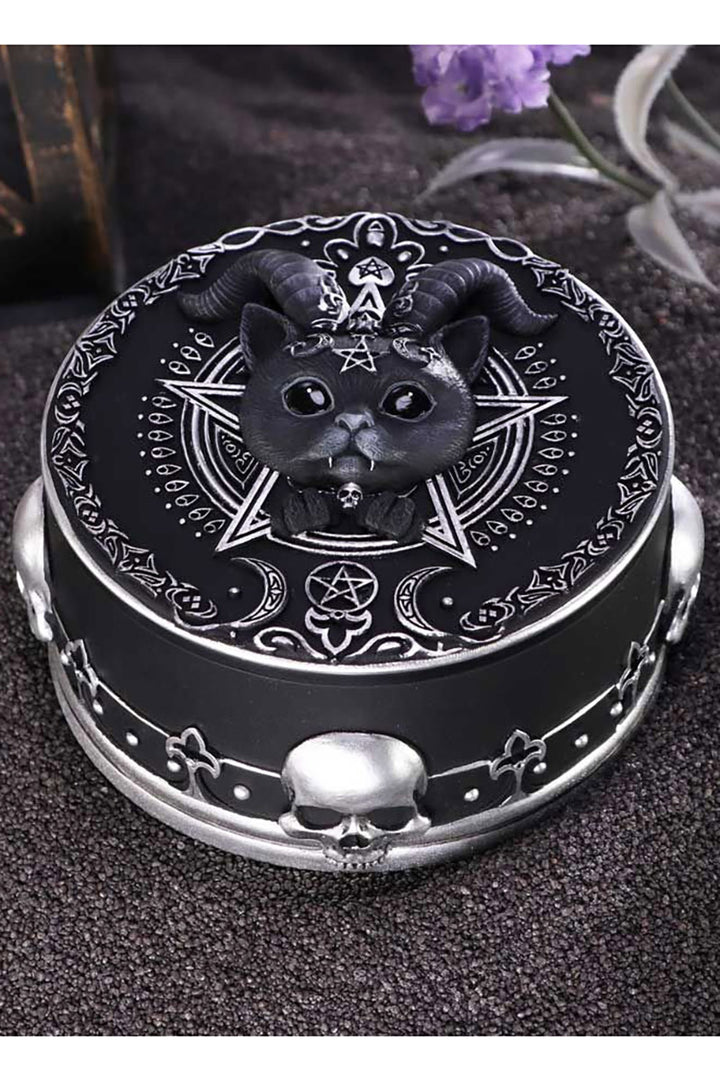 Pawzuph Trinket Box