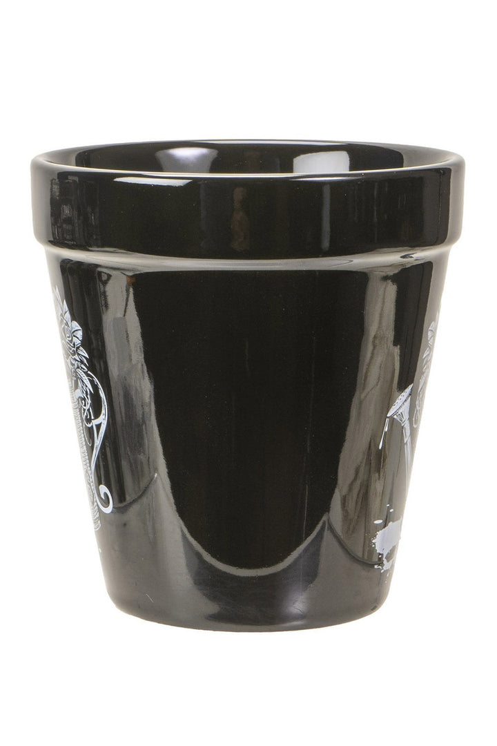 spooky pot for indoor plants
