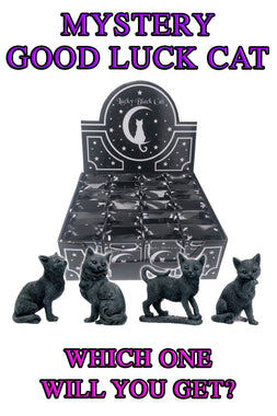 Lucky Black Cat [MYSTERY ITEM]