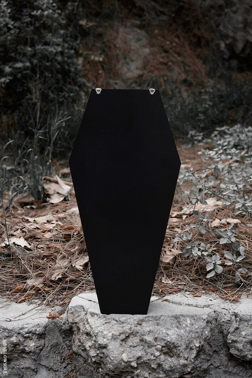 black wooden coffin shelf