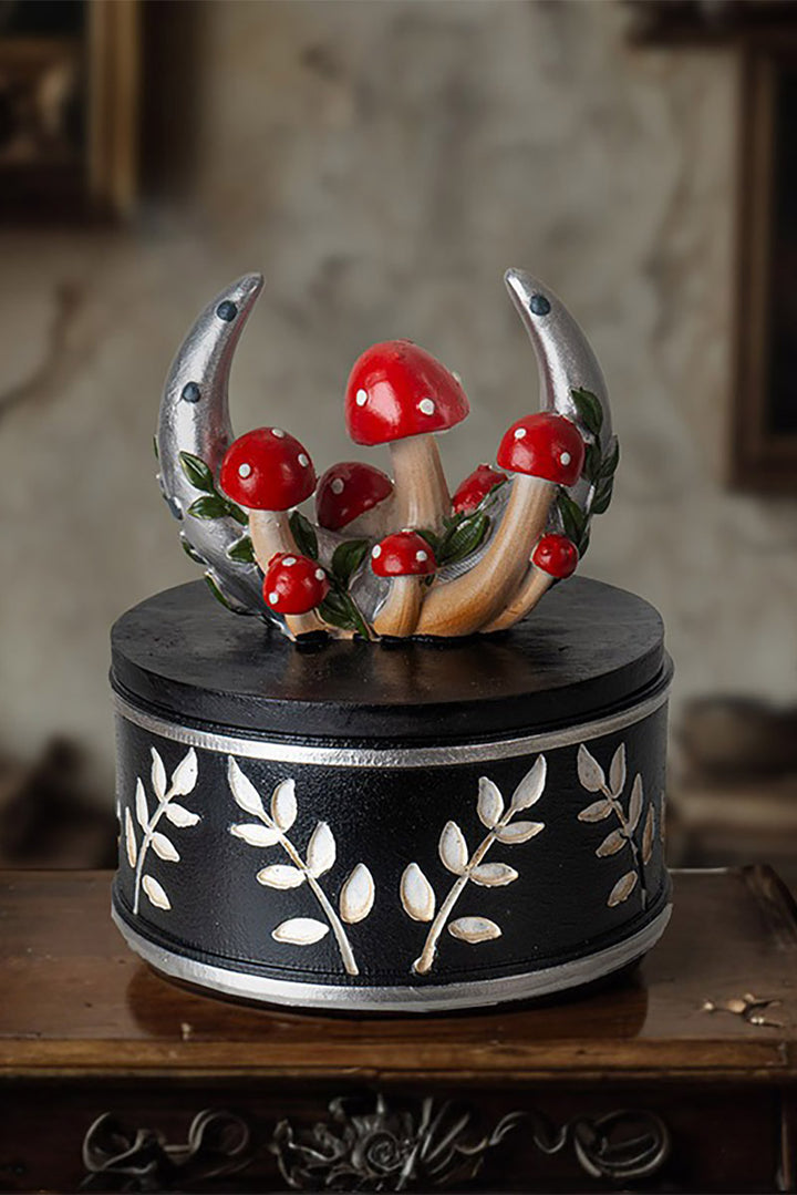 whimsigoth storage box