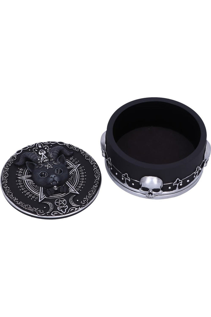 Pawzuph Trinket Box