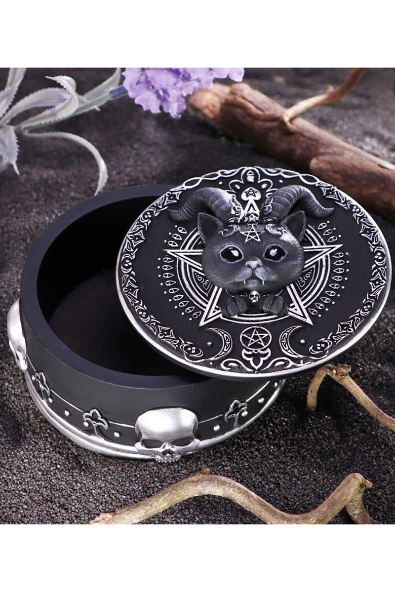Pawzuph Trinket Box