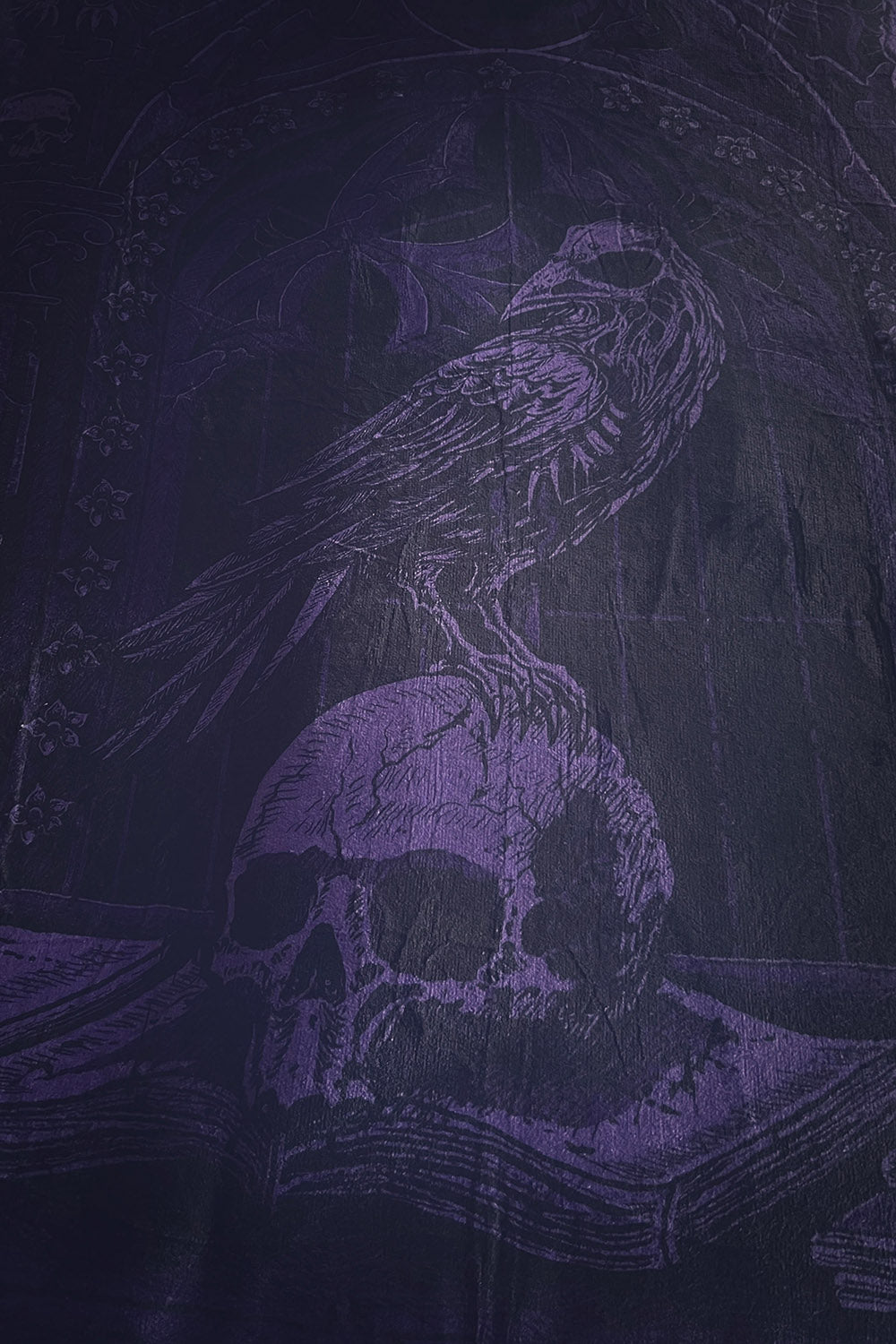 spooky soft throw blanket