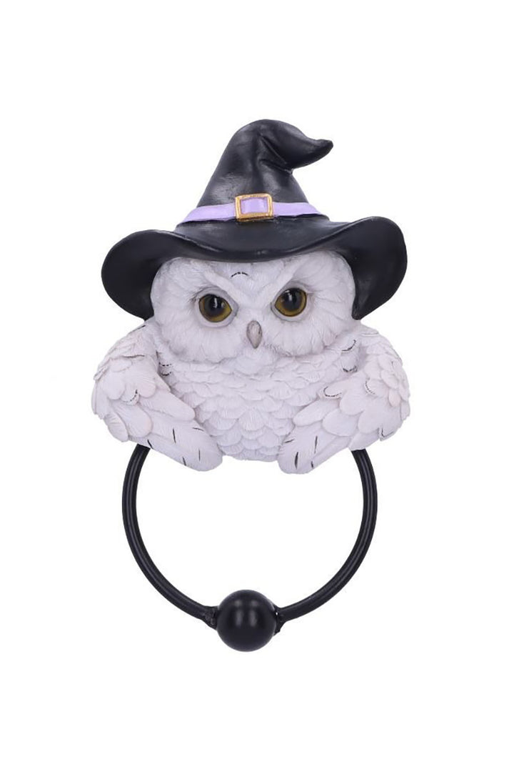 owl door knocker