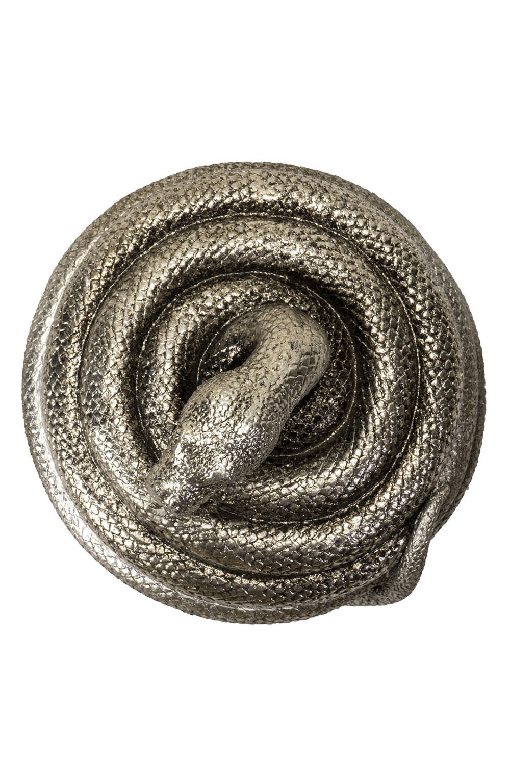 Snake Box