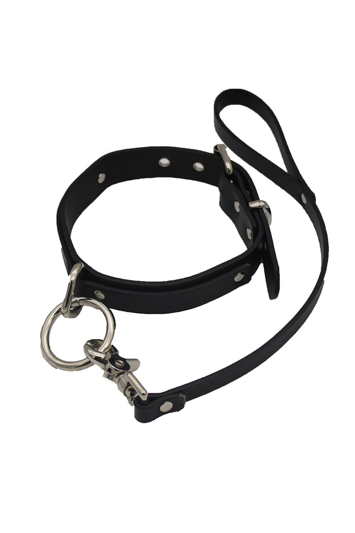 Lead the Way Daddy Collar