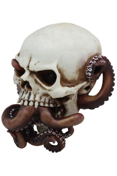 Octopus Skull