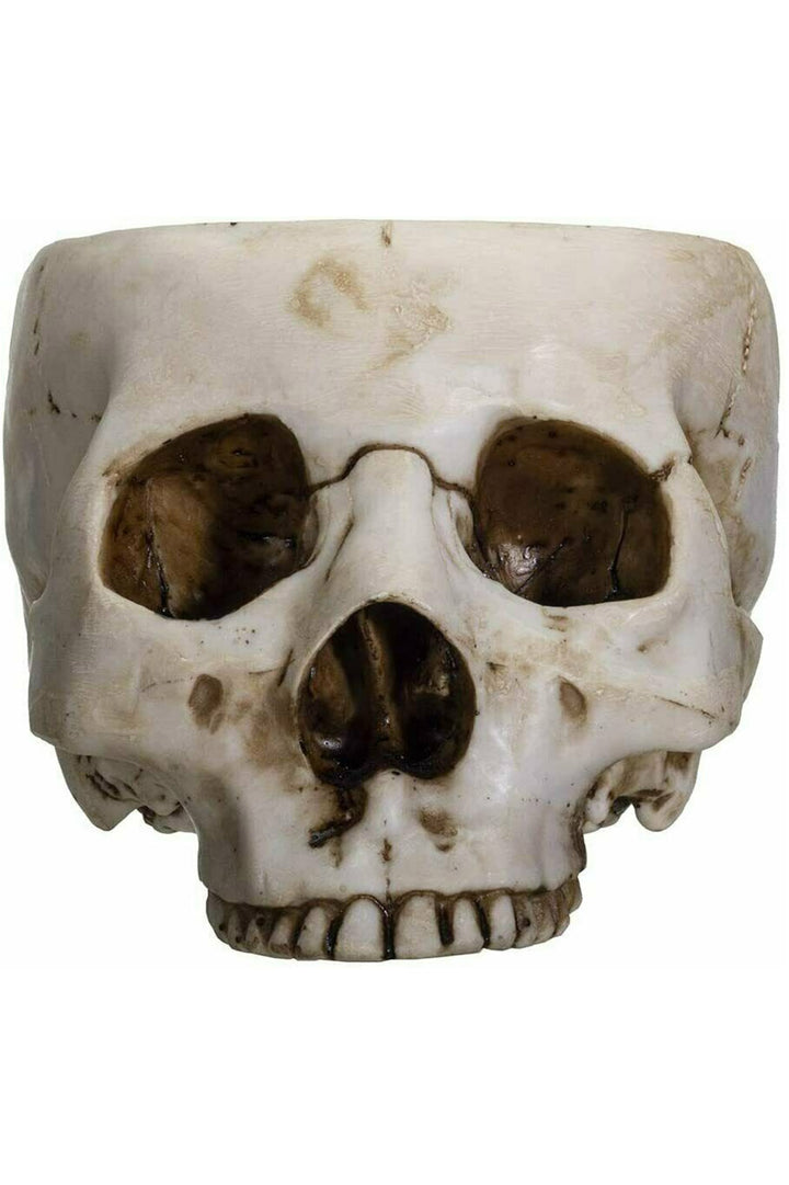 A hand-painted, realistic design skull bowl made of cold-cast resin, with detailed features resembling a human skull including eye sockets and teeth.