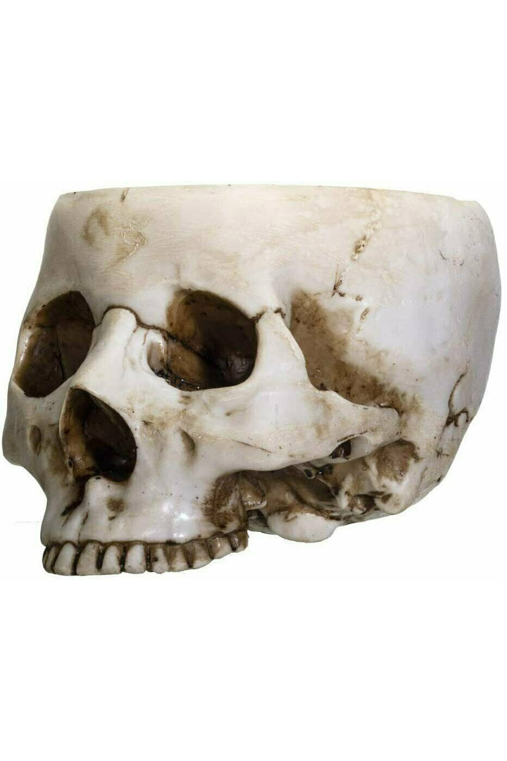 Skull Bowl