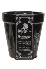 spooky indoor planter