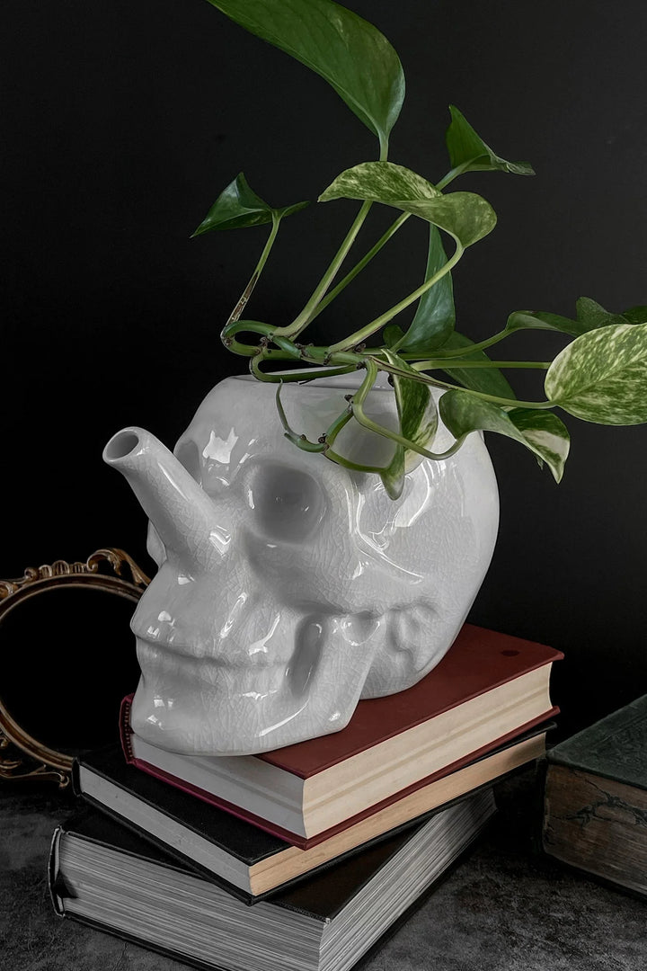 vintage goth skull planter