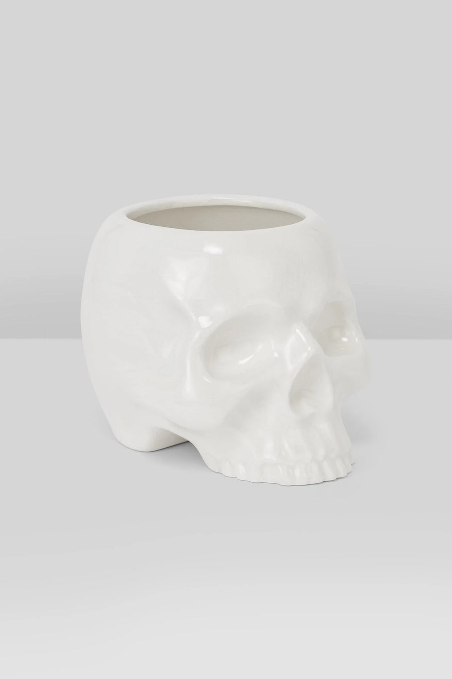 skull inside plant pot