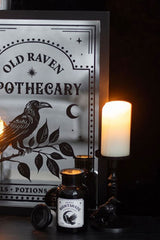Goth home decor Raven candle holder