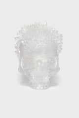 Clear skull statue on a white background by killstar