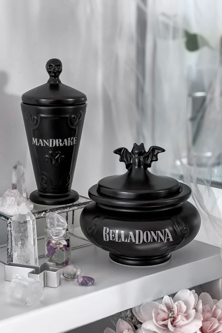 gothic storage jars with bat and skull shaped lids