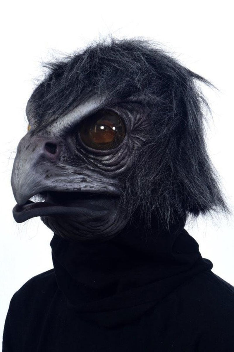 halloween crow mask