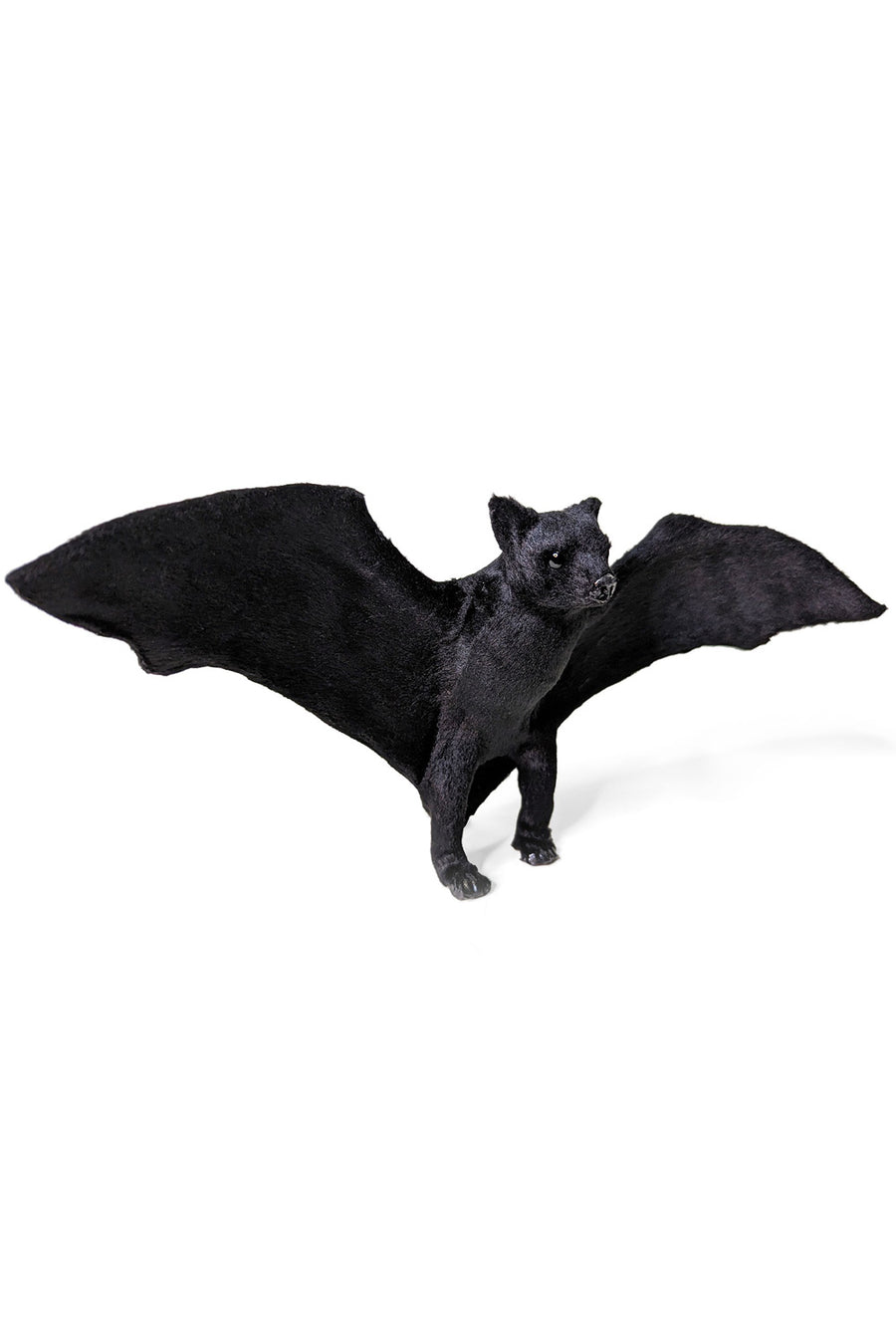 bat plush