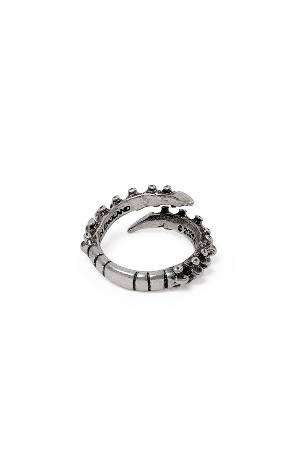 Metal spine ring for goths