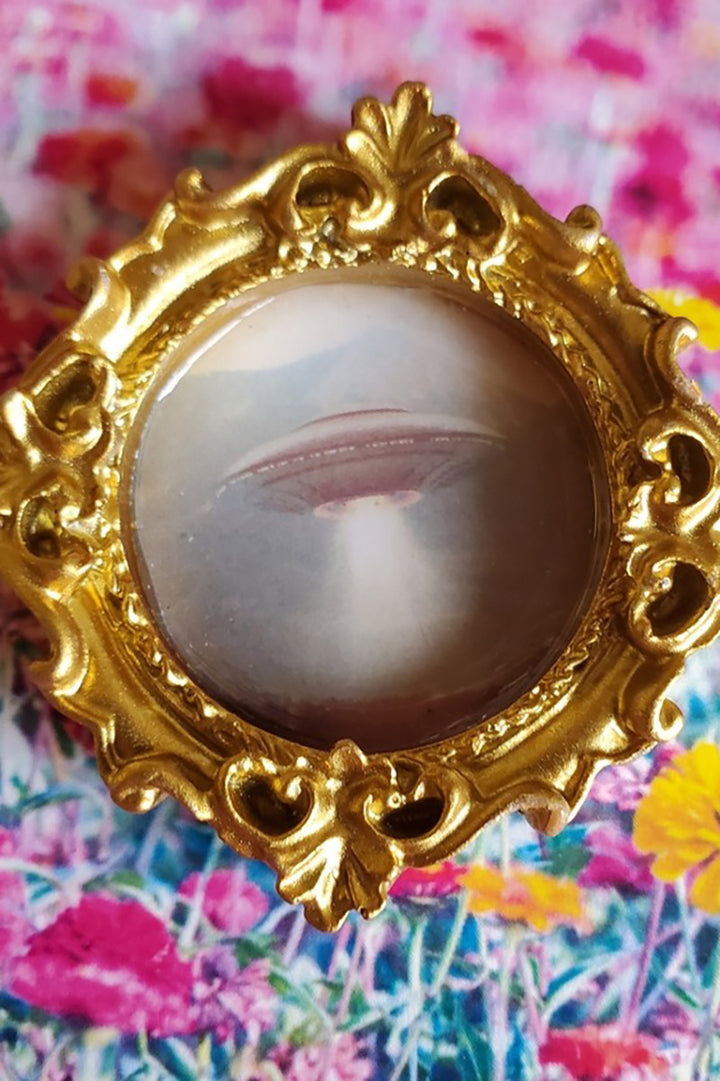 Victorian goth gold frame magnet by lapis lily market