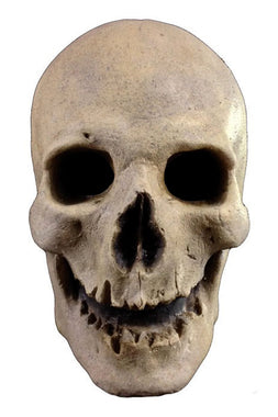 Antique Skull Mask