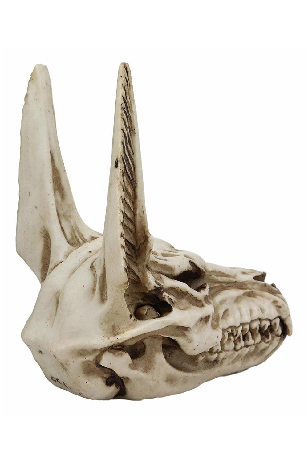 Anubis Skull Scultpure - housewares - VampireFreaks - Pacific Giftware