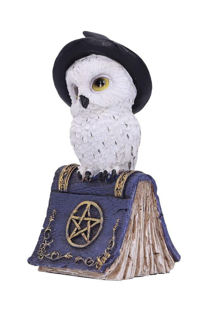 Avian Spell Owl Figurine - toys - VampireFreaks - Nemesis Now