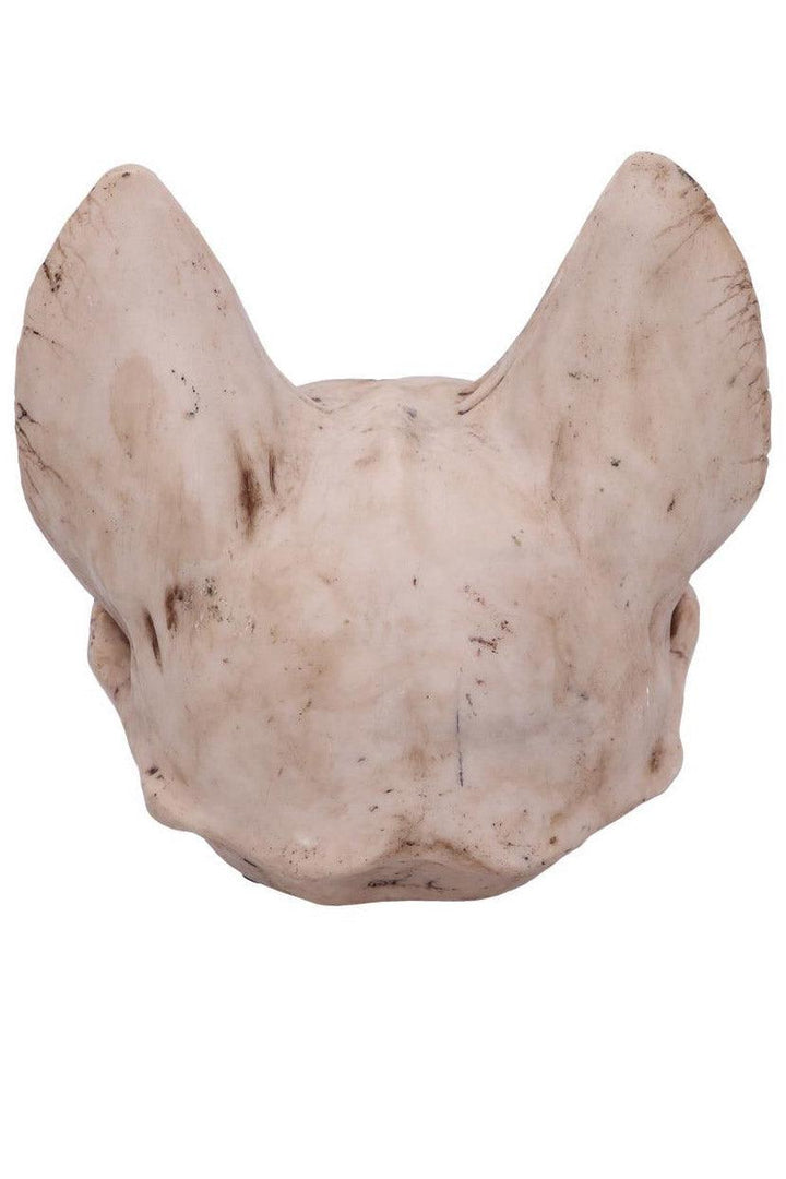 Bastet's Cat Skull Statue - housewares - VampireFreaks - Pacific Giftware