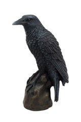 black crow bird on stand 