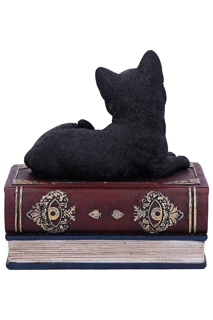 Black Cat Book Box - housewares - VampireFreaks - Pacific Giftware