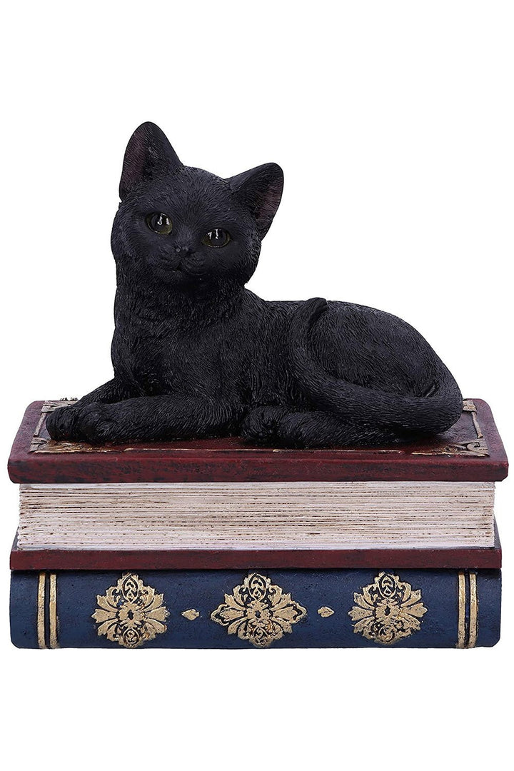 Black Cat Book Box - housewares - VampireFreaks - Pacific Giftware