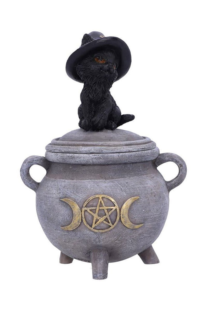 Black Cat Cauldron Box - housewares - VampireFreaks - Pacific Giftware