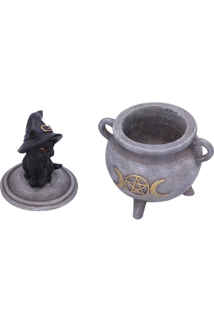 Black Cat Cauldron Box - housewares - VampireFreaks - Pacific Giftware