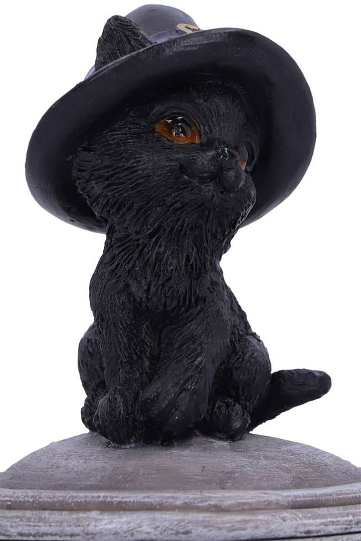 Black Cat Cauldron Box - housewares - VampireFreaks - Pacific Giftware