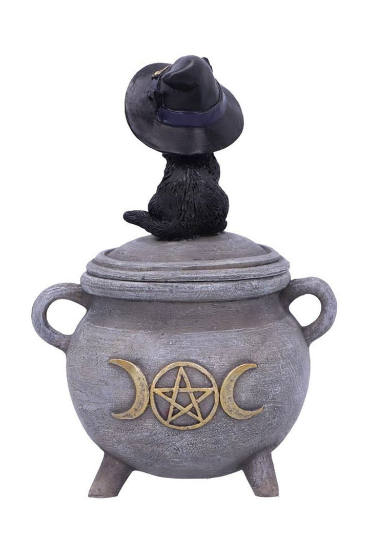 Black Cat Cauldron Box - housewares - VampireFreaks - Pacific Giftware