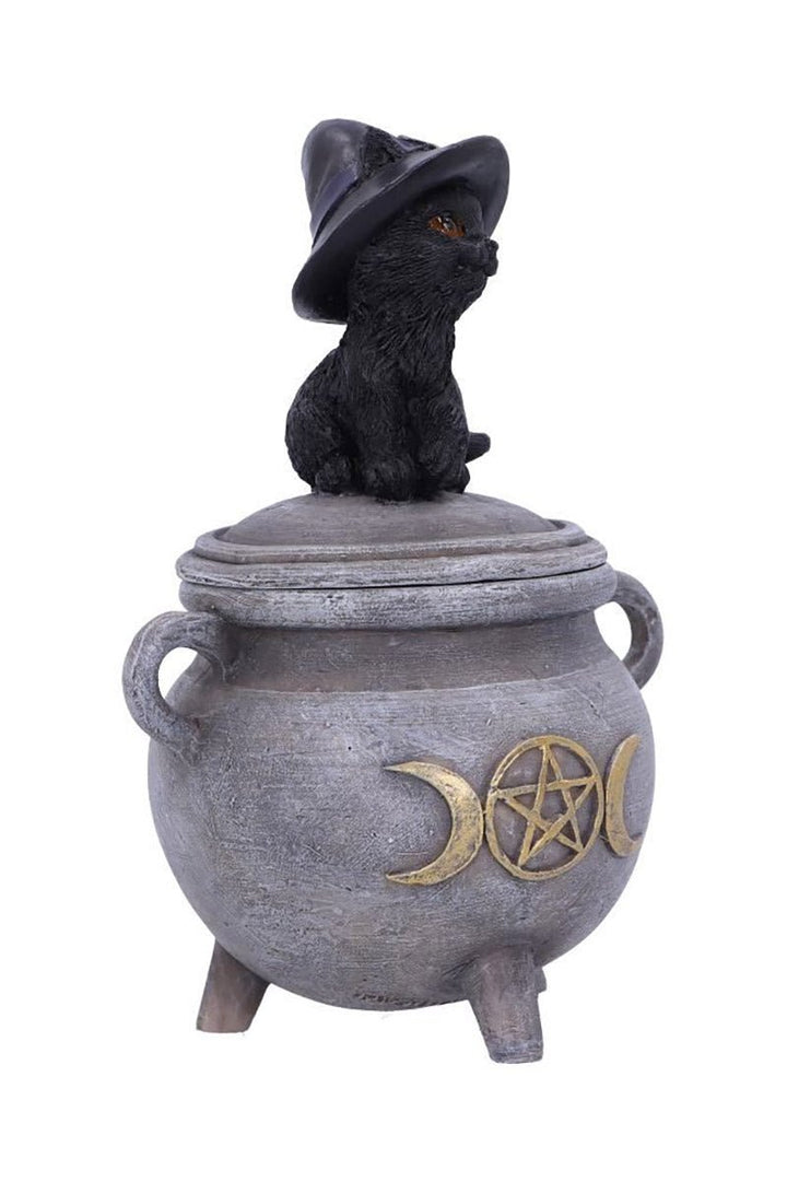 Black Cat Cauldron Box - housewares - VampireFreaks - Pacific Giftware