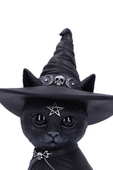 witch hat cat figurine 