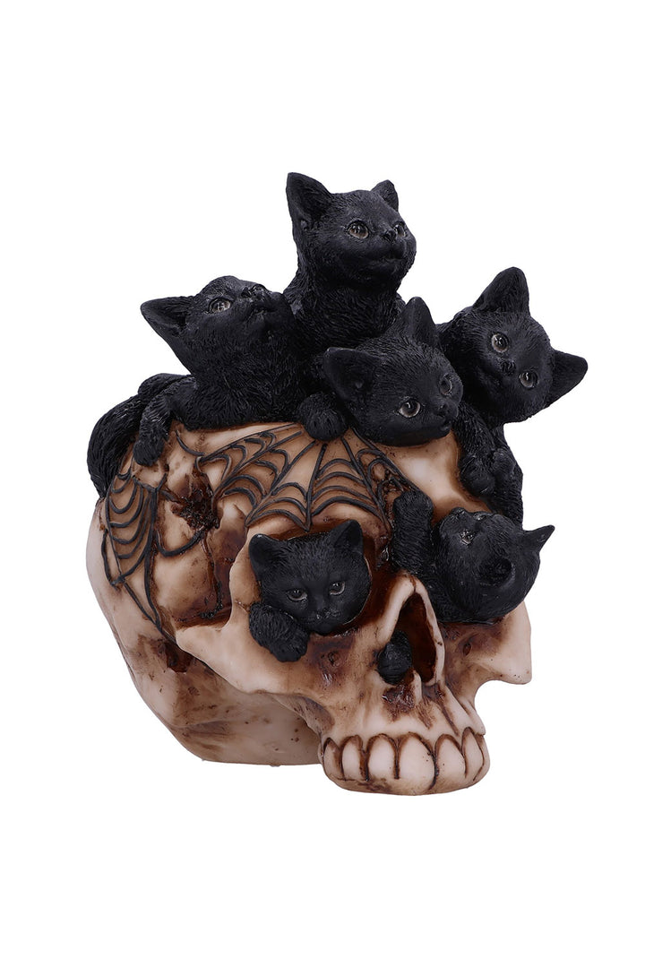 witchy black cats on skull statue