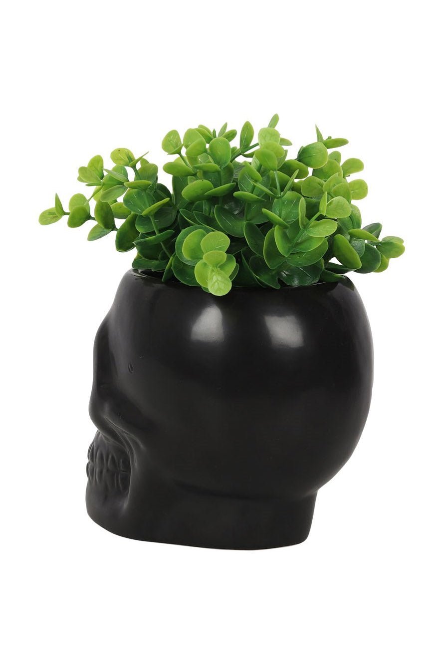 Black Ceramic Skull Planter - housewares - VampireFreaks - Pacific Giftware