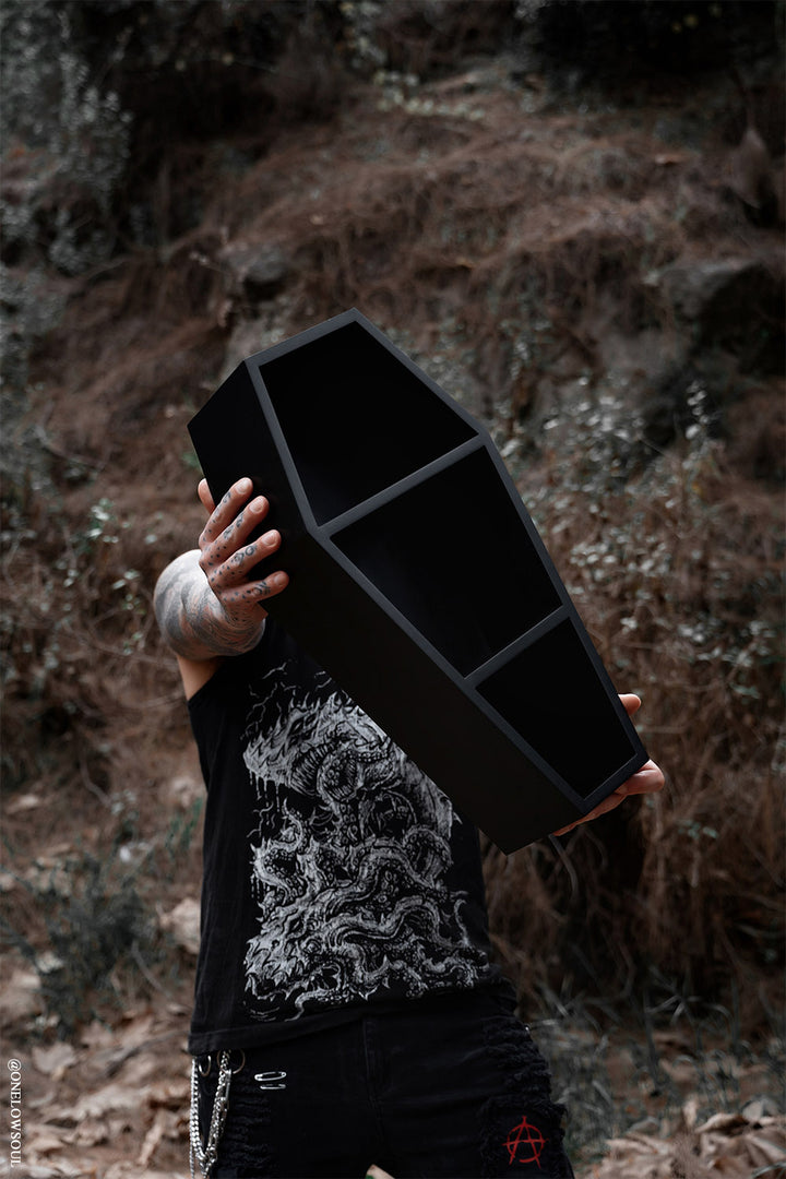 coffin home decor