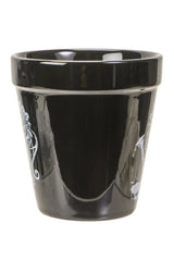 spooky pot for indoor plants