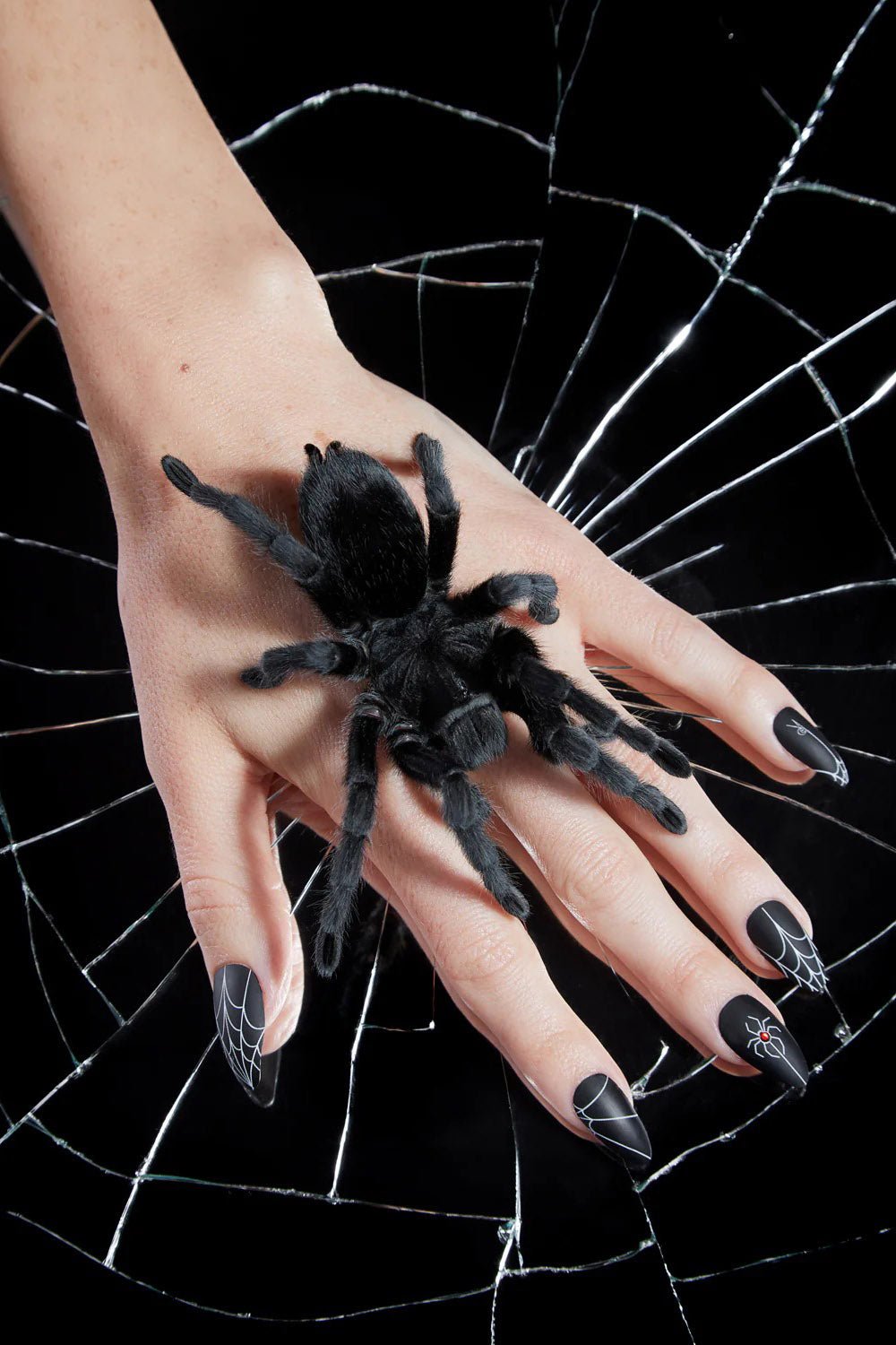 Black Widow Nailz - cosmetics - VampireFreaks - Rave Nailz