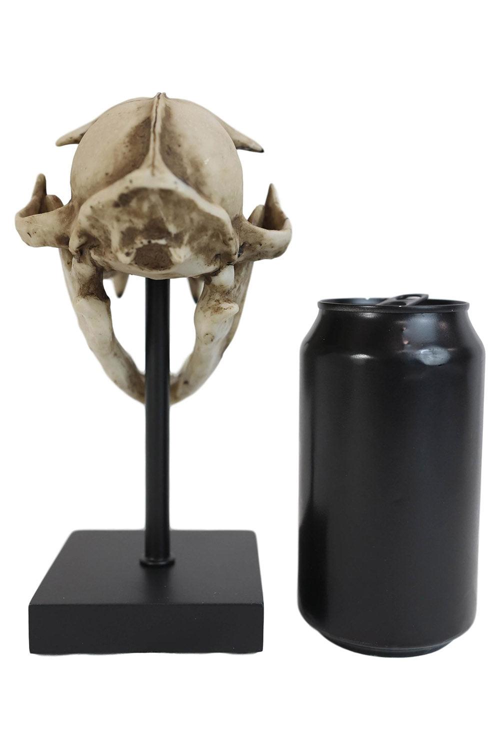 Bobcat Skull Replica - housewares - VampireFreaks - Pacific Giftware