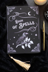 Occult style witch journal with raven