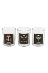 Three candles with labels on a white background